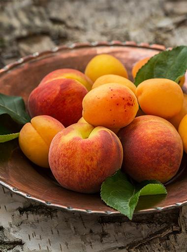 Stone Fruit Salad Peaches in a bowl
