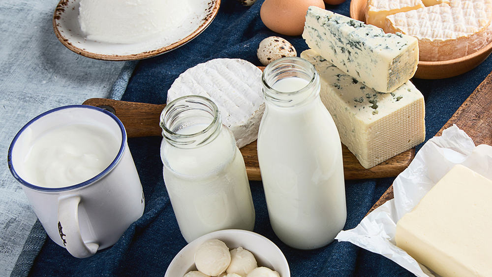 dairy products