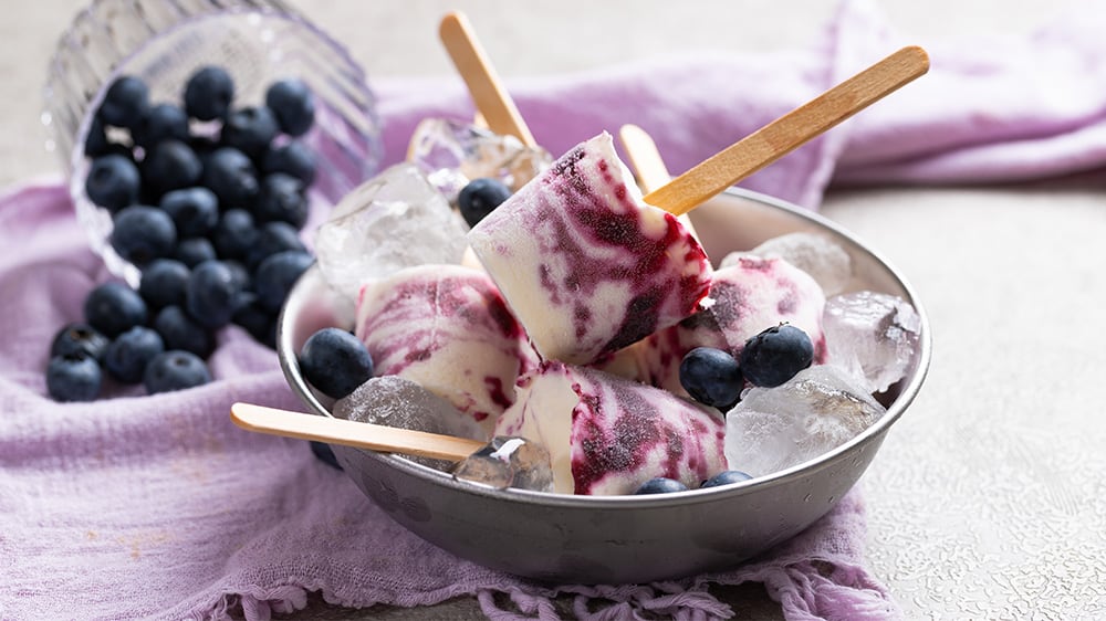 frozen yoghurt and blueberries