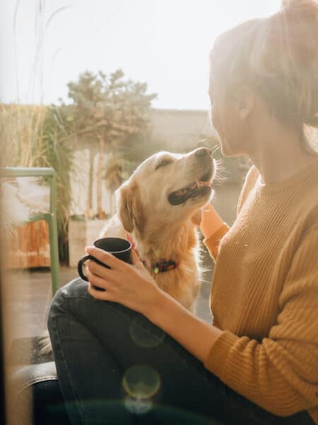 Pet owner with golden retriever dog